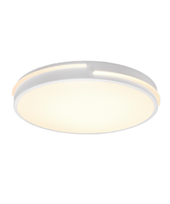 Φωτιστικό Οροφής Reality LED 24W Λευκό Ματ Μεταλλικό Τηλεχειριζόμενο Dimmable 2700lm 2700 – 6500K – R62241131