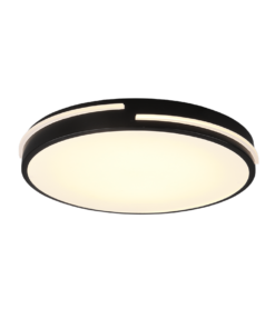 Φωτιστικό Οροφής Reality LED 24W Μαύρο Ματ Μεταλλικό Τηλεχειριζόμενο Dimmable 2700lm 2700 – 6500K – R62241132