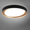 Φωτιστικό Οροφής Reality LED 24W  Μαύρο Πλαστικό Dimmable 2000lm 2700 – 6500K  R62712402