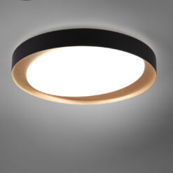 Φωτιστικό Οροφής Reality LED 24W Μαύρο Πλαστικό Dimmable 2000lm 2700 – 6500K R62712402