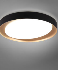 Φωτιστικό Οροφής Reality LED 24W Μαύρο Πλαστικό Dimmable 2000lm 2700 – 6500K R62712402