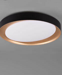 Φωτιστικό Οροφής Reality LED 24W Μαύρο Πλαστικό Dimmable 2000lm 2700 – 6500K R62712402