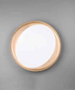 Φωτιστικό Οροφής Reality LED 24W Μαύρο Πλαστικό Dimmable 2000lm 2700 – 6500K R62712402