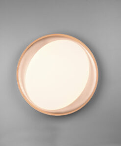 Φωτιστικό Οροφής Reality LED 24W Μαύρο Πλαστικό Dimmable 2000lm 2700 – 6500K R62712402