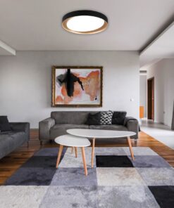 Φωτιστικό Οροφής Reality LED 24W Μαύρο Πλαστικό Dimmable 2000lm 2700 – 6500K R62712402