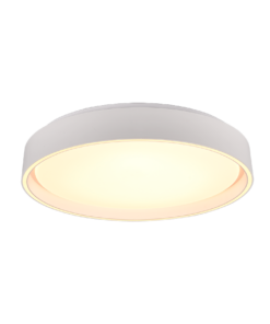 Φωτιστικό Οροφής Trio Lighting LED 24W 2700K Λευκού Χρώματος Dimmable με Τηλεχειριστήριο – R64391031