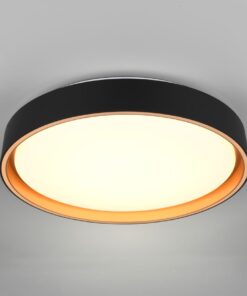 Φωτιστικό Οροφής Reality LED 24W 2500lm CCT Dimmable Με Χειριστήριο Χρυσό Μαύρο – R64391080