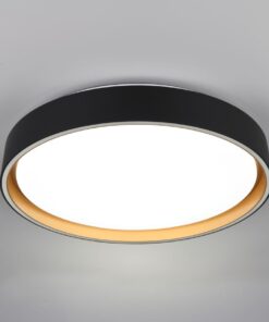 Φωτιστικό Οροφής Reality LED 24W 2500lm CCT Dimmable Με Χειριστήριο Χρυσό Μαύρο – R64391080