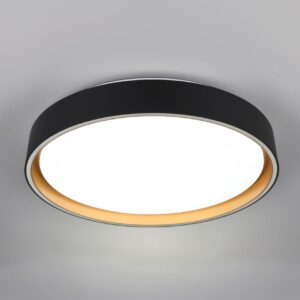 Φωτιστικό Οροφής Reality LED 24W 2500lm CCT Dimmable Με Χειριστήριο Χρυσό Μαύρο – R64391080