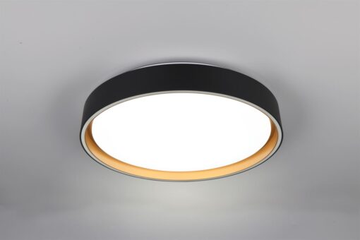Φωτιστικό Οροφής Reality LED 24W 2500lm CCT Dimmable Με Χειριστήριο Χρυσό Μαύρο – R64391080