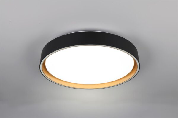 Φωτιστικό Οροφής Reality LED 24W 2500lm CCT Dimmable Με Χειριστήριο Χρυσό Μαύρο – R64391080