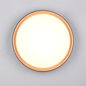 Φωτιστικό Οροφής Reality LED 24W 2500lm CCT Dimmable Με Χειριστήριο Χρυσό Μαύρο – R64391080
