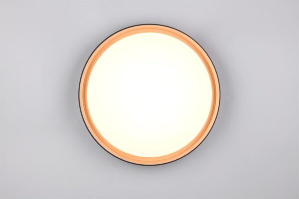 Φωτιστικό Οροφής Reality LED 24W 2500lm CCT Dimmable Με Χειριστήριο Χρυσό Μαύρο – R64391080