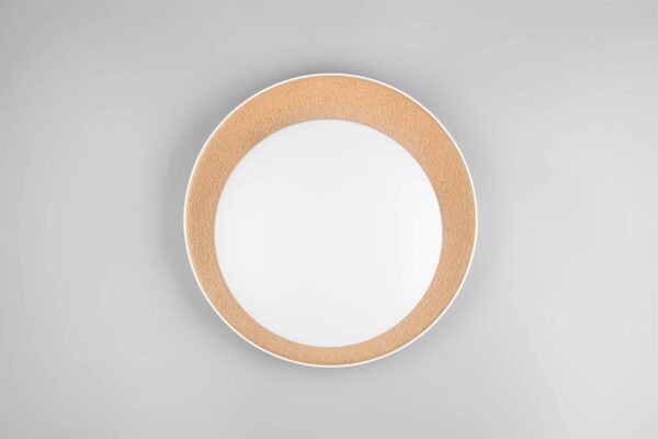 Πλαφονιέρα Λευκό & Χρυσό Φ45 ALETA LED 24W 2500lm Dimmable CCT με Τηλεχειριστήριο Reality – R64611179