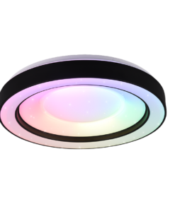 Φωτιστικό Οροφής Reality LED 22W Μαύρο Ματ Πλαστικό Τηλεχειριζόμενο Dimmable 2500lm 2700 – 6000K – R65091032