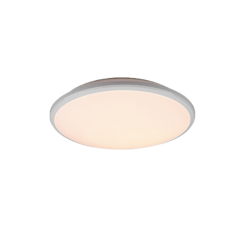 Φωτιστικό Οροφής Reality LED 20,5W Λευκό Ματ Πλαστικό Step Dimmable 2400lm 4000K – R67021131