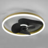 Ανεμιστήρας Reality BORGHOLM  LED, 30W · 3500lm, 2700 – 6500K Μαύρο Ματ Μεταλλικό, Τηλεχειριζόμενο Dimmable, Λειτουργία μνήμης, Φωτάκι νυκτός, 3 ταχύτητες, Xρονοδιακόπτη – R67083132 