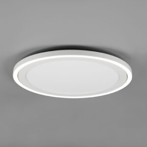 Φωτιστικό Οροφής Reality CARUS , 20W · 3400lm, 4000K Λευκό Ματ Πλαστικό , ξεχωριστή χρήση- R67224331