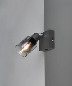 Φωτιστικό Τοίχου/Οροφής με Περιστρεφόμενο Ανθρακί Γυάλινο Σποτ CADIZ 1xE14 Reality – R81781042