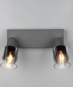 Πολύφωτο Οροφής με Περιστρεφόμενα Ανθρακί Γυάλινα Σποτ CADIZ 2xE14 Reality – R81782042