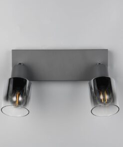 Πολύφωτο Οροφής με Περιστρεφόμενα Ανθρακί Γυάλινα Σποτ CADIZ 2xE14 Reality – R81782042