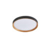 Sun Light ΟΡΟΦΗΣ ΦΩΤΙΣΤΙΚΟ LED-ΠΛΑΦΟΝΙΕΡΑ-ΚΩΔ. ROBLE-500-B