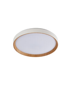 Sun Light ΟΡΟΦΗΣ ΦΩΤΙΣΤΙΚΟ LED-ΠΛΑΦΟΝΙΕΡΑ-ΚΩΔ. ROBLE-500-W