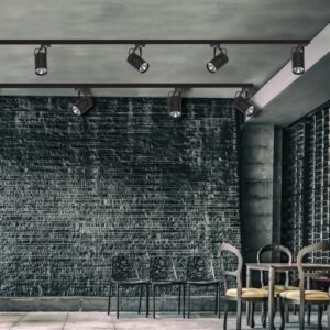 InLight Σποτ τριφασικής ράγας LED 30W 4000K σε μαύρη απόχρωση D:10cmX28cm (T00902-BL)