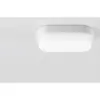 ΦΩΤΙΣΤΙΚΟ ΧΕΛΩΝΑ LED 200X100X55mm 12W 3000K 880lm IP65 ΠΛΑΣΤΙΚΟ ΛΕΥΚΟ SEASIDE UNIVERSE – 1-U005678