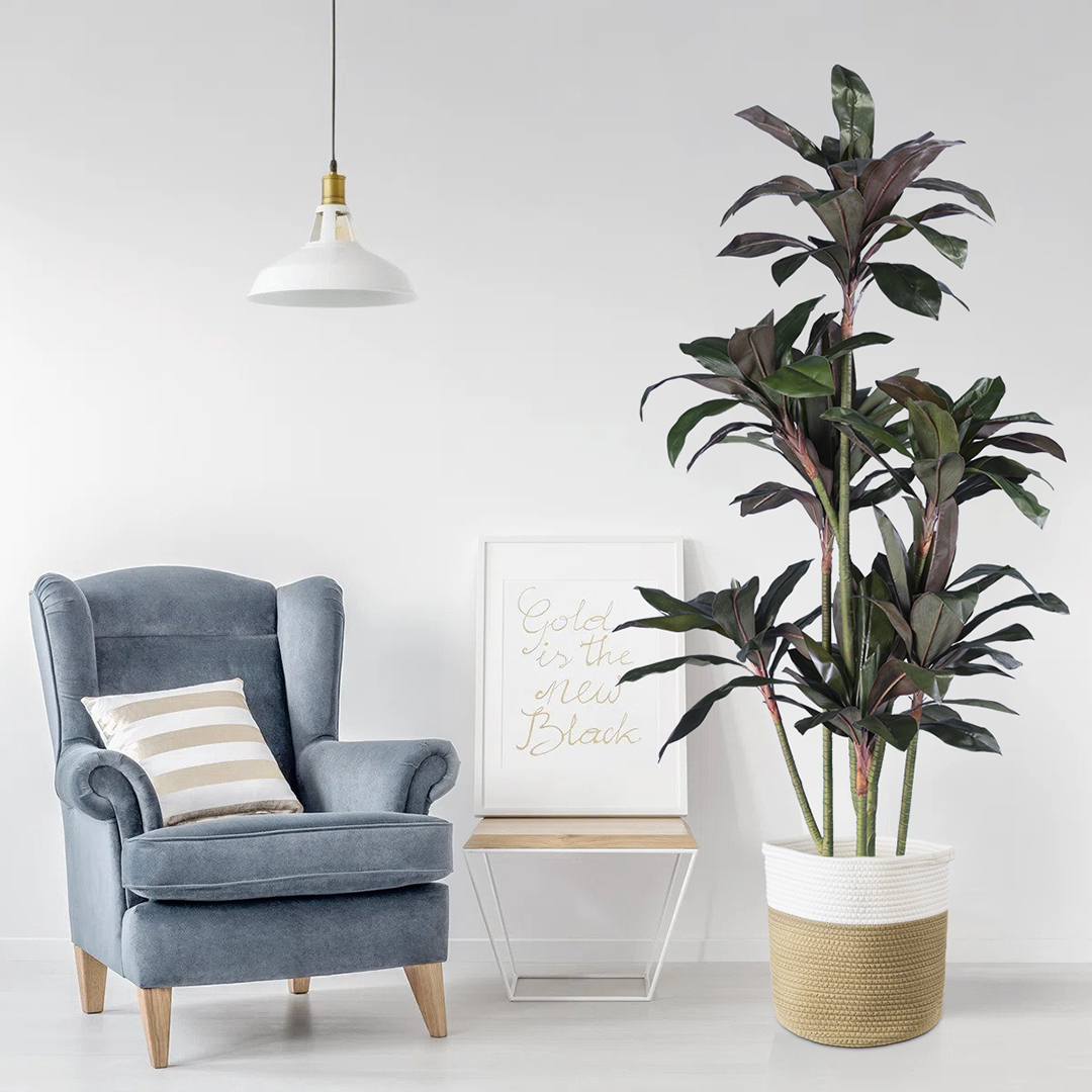 GloboStar® Artificial Garden MELANY FICUS 20041 Τεχνητό Διακοσμητικό Φυτό Φίκος Υ170cm