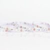 ΤΑΙΝΙΑ LED 5M 10W 24V 2700K IP20 PRO EUROLAMP – 145-70248