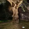 Faro Barcelona SALT Φωτιστικό Αδιάβροχο Δαπέδου με Ασύμετρη Λυχνία COB LED 9W 3000K IP67 – 70591