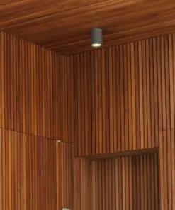 Faro Barcelona TASA Φωτιστικό Οροφής, Σκούρου Γκρι Χρώματος, IP44 – 70806