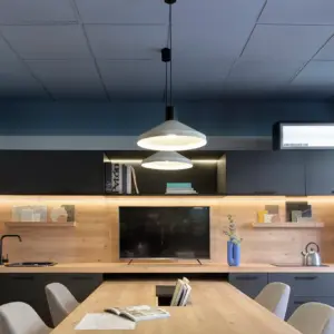Faro Barcelona KOMBO Κρεμαστό Φωτιστικό Γκρι Χρώματος 1X E27- 68595-1L