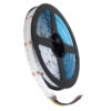 GloboStar® BEE 75589 Ταινία LED 18W/m 1800lm/m 120° DC 24V IP20 – 840 x Micro 5in1 SMD COB LED Chip/Μέτρο – Μ5000 x Π12 x Υ2mm – Ρολό 5 Μέτρων – Πολύχρωμη RGBW+WW – 5 Χρόνια Εγγύηση