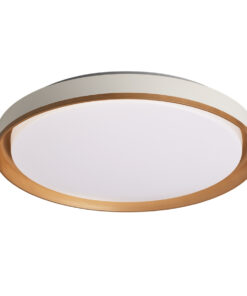 Sun Light ΟΡΟΦΗΣ ΦΩΤΙΣΤΙΚΟ LED-ΠΛΑΦΟΝΙΕΡΑ  G0742/450-G