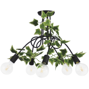 PLEX 5L EDEM -B- Heronia – 40-0037