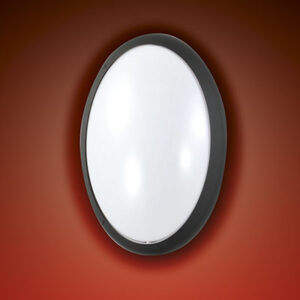 Φωτιστικό Τοίχου  Fabas Luce Preston E27 Μαύρο  IP65   – 6712-08-964