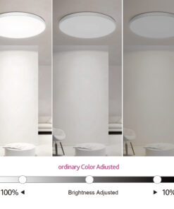 InLight Πλαφονιέρα οροφής LED 48W RGBW (with controller) D:37.5cm (42029)