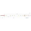 LED Ταινία 6W 24V CUBALUX Dimmable 448lm/m  Θερμό 2700K 5 Μέτρα CL50-0081