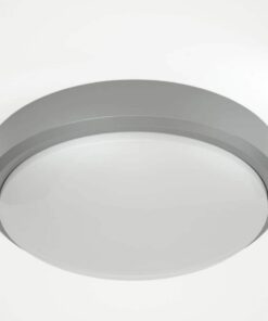 it-Lighting Echo LED 15W 3CCT Outdoor Ceiling Light Grey D:21cmx6cm (80300230)