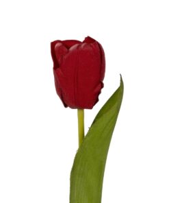GloboStar® Artificial Garden RED TULIP BRANCH 21203 Τεχνητό Διακοσμητικό Κλαδί Κόκκινη Τουλίπα Y37cm