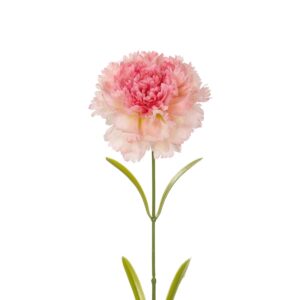 GloboStar® Artificial Garden PING CARNATION BRANCH 21209 Τεχνητό Διακοσμητικό Κλαδί Γαρίφαλο Ρόζ Y60cm