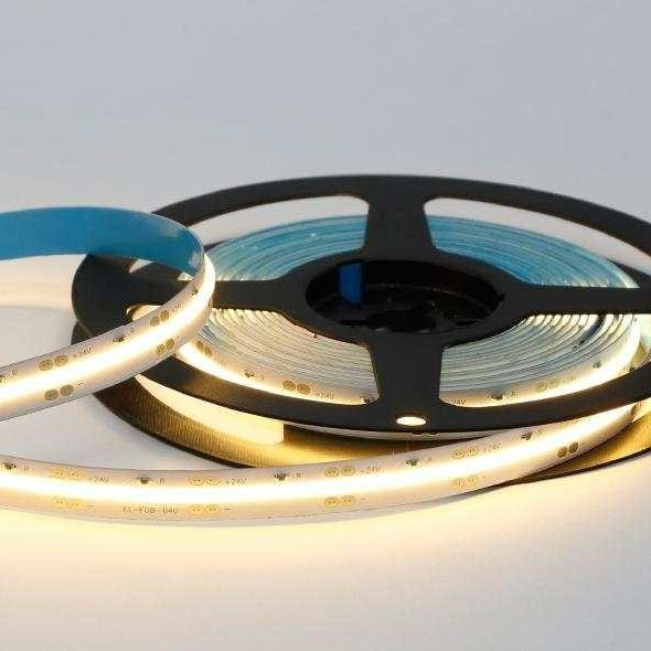 led tainies