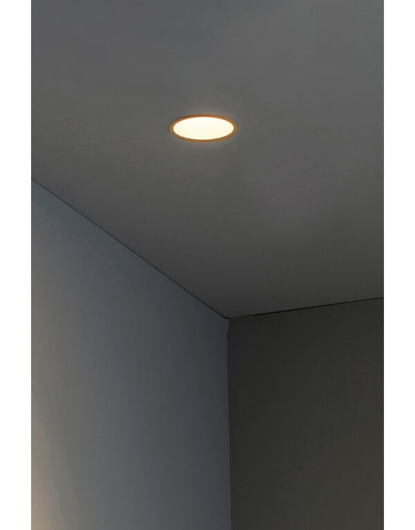 FRESH GOLD DOWNLIGHT GU10 – 1-FR02100503