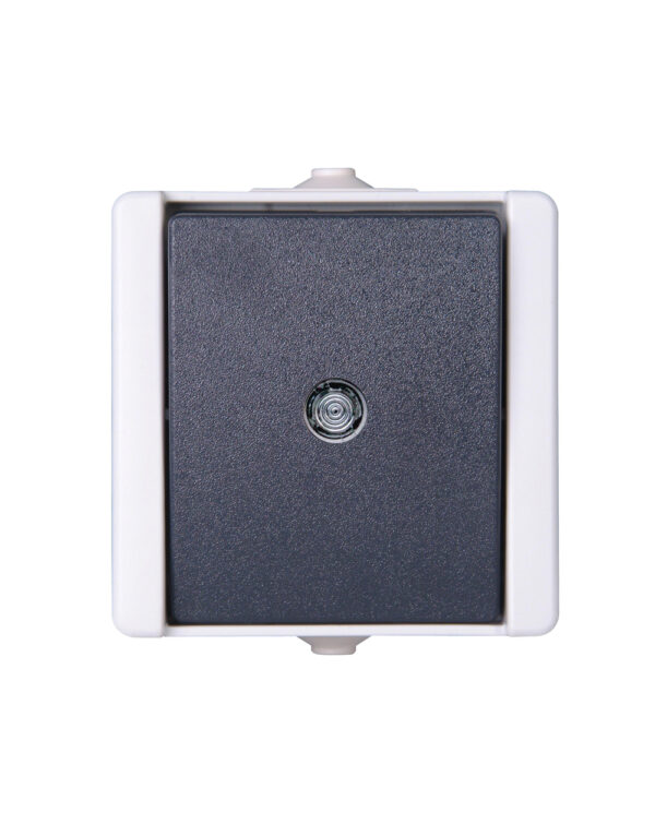 ProAQA ΜΠΟΥΤΟΝ ΕΞΩΤΕΡΙΚΟ IP44 ΜΕ ΕΝΔ. ΔΙΑΦ. ΓΚΡΙ – 1-K540396001