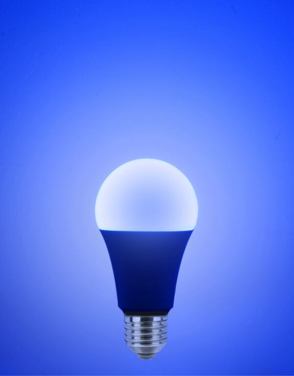 Έξυπνη λάμπα LED A60  2xE27 9,2W + remote control ρυθμιζόμενο λευκό 2700-6500Κ + RGB Lutec Connect – 1-T8731002316