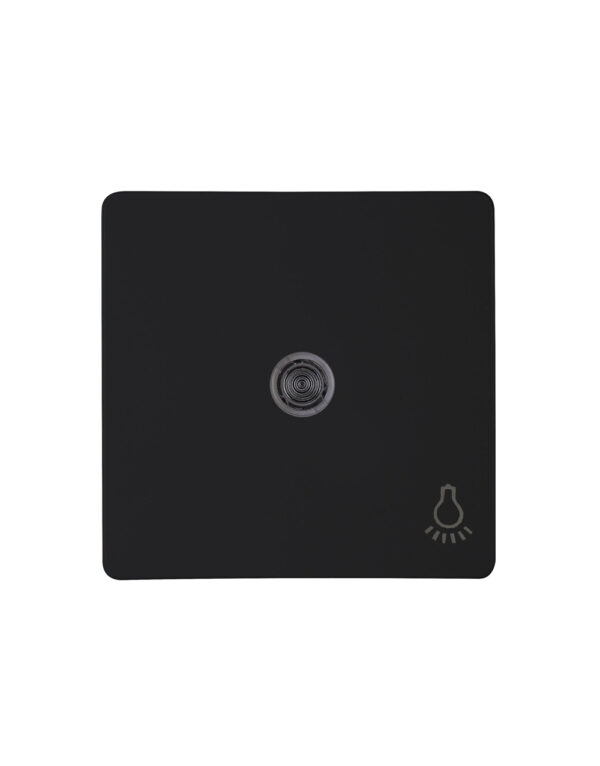Rockerpad with lens in design HK05 and the color matt black with symbol “light” for switch, universal switch, cross switch, cont – 1-K339450006