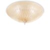 140179_WEB001_SHELL_PL3_AMBRA.jpg