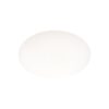 CLIO-1 PARALUME – 1-ID145068